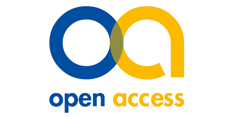 Application for DFG Open Access Publication Funding program successful